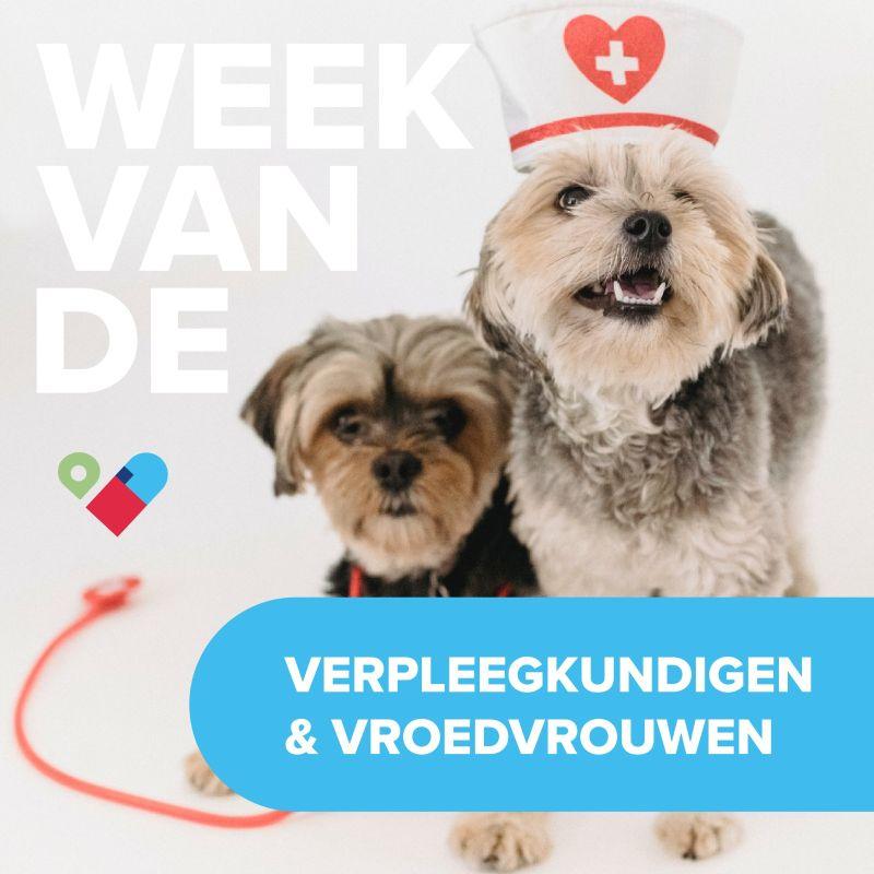 Week Van De Verpleegkundigen En Vroedvrouwen