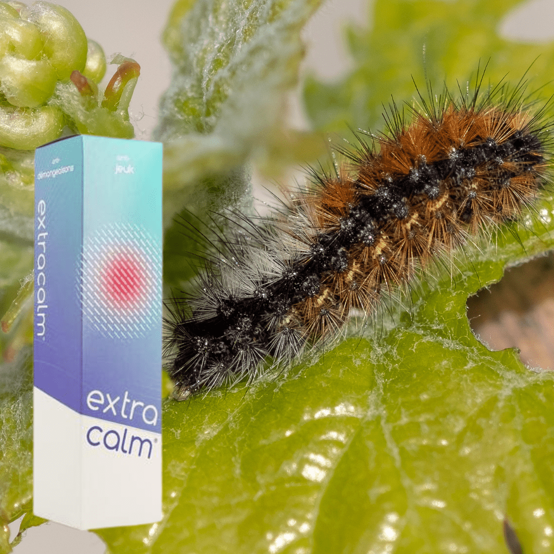 Extracalm Processierups