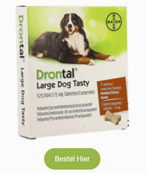 Drontal Large Dog Tasty 525/504/175mg Comp 1x2