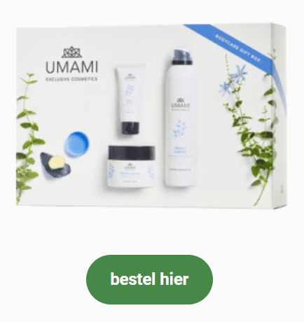 Umami Fresh Leaves Jap.munt&gember Set Body 500ml