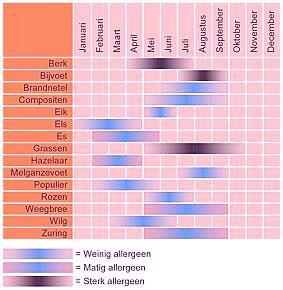 Wat Is Hooikoorts En Wat Kan Je Er Tegen Doen