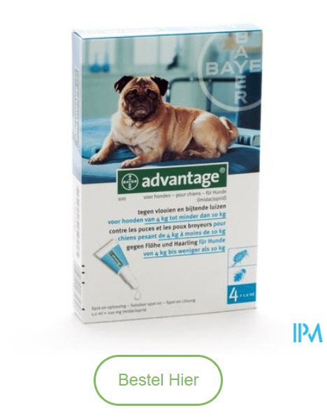 Advantage 100 Honden 4