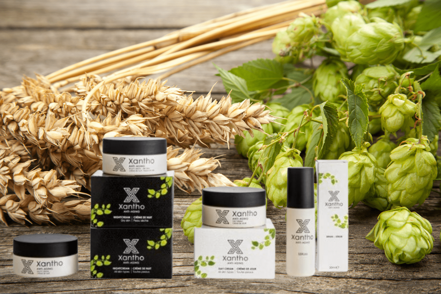 Anti Aging Door De Heilzame Werking Van Hop!