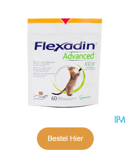 Flexadin Advanced Cat Chew 60