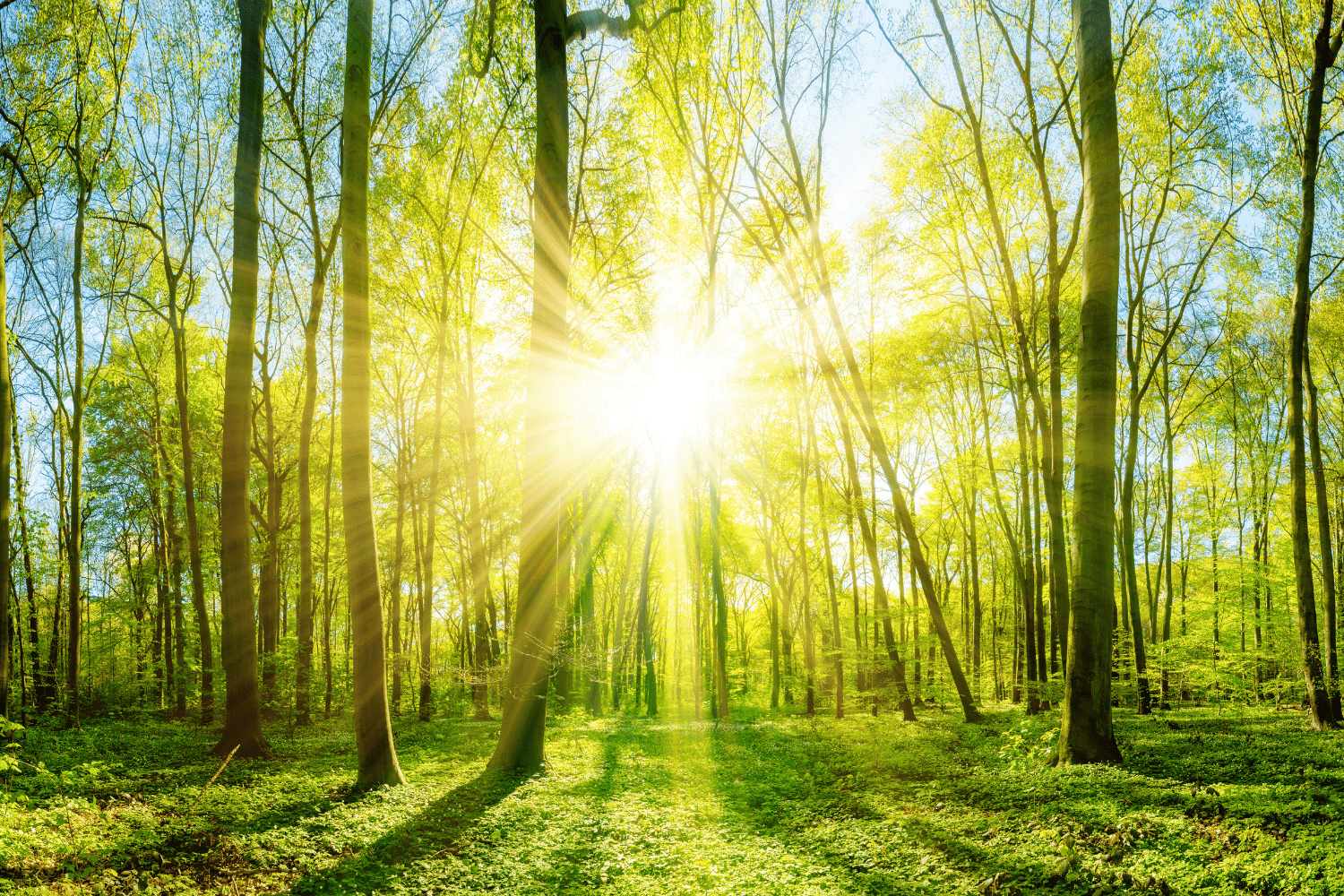 Ontdek Onze Tips Om Je Te Beschermen Tegen De Eerste Lentezon