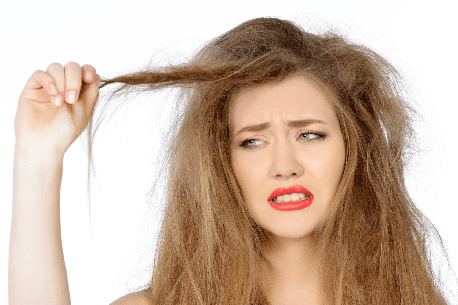 Verzorging Van Droge Haren Tijdens De Winter.