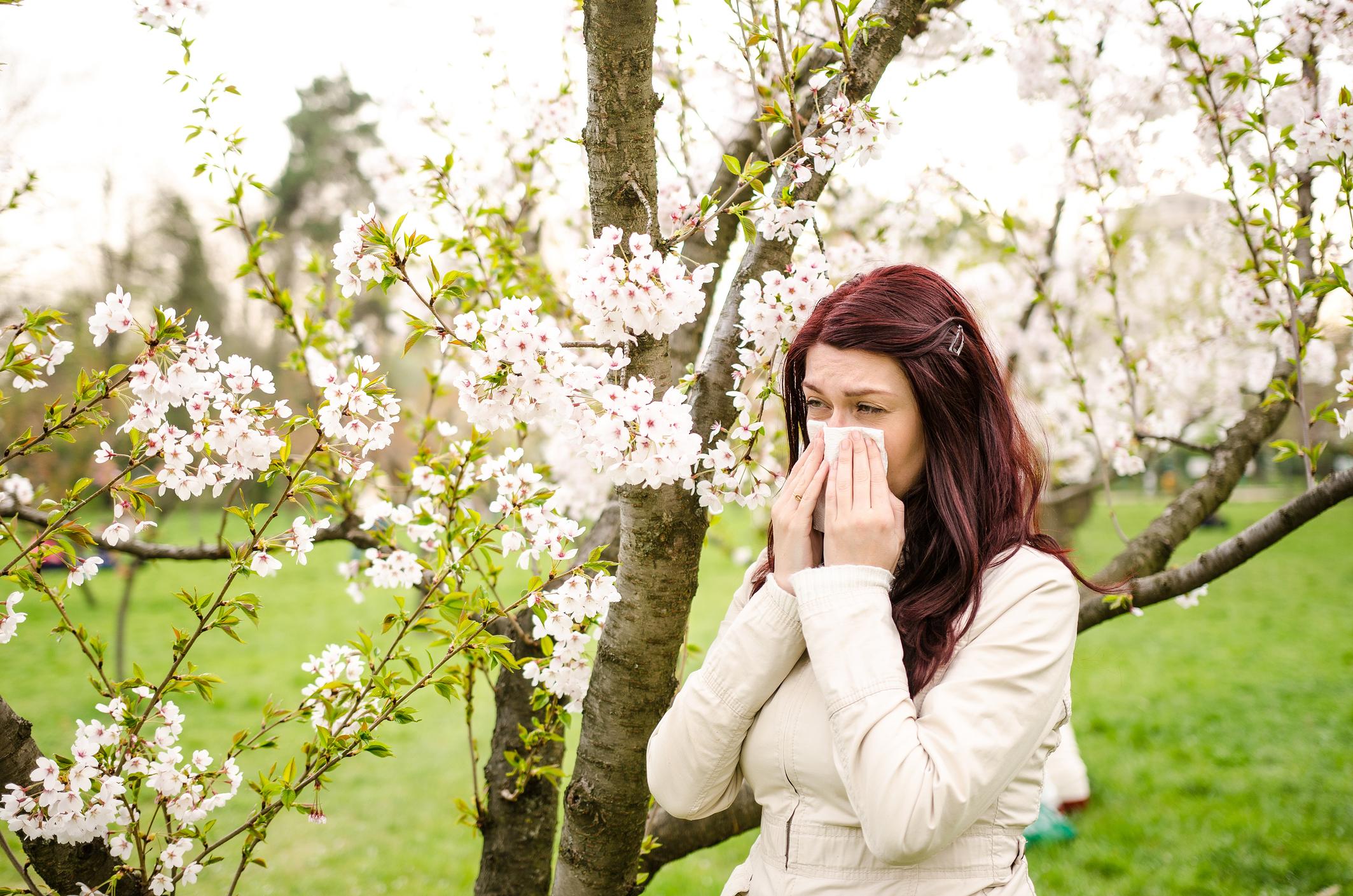 Wat Te Doen Bij Hooikoortsklachten Verminder Uw Hooikoorts Symptomen!