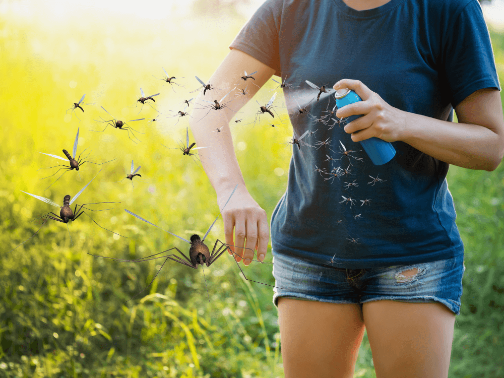 7 Tips Om Muggen En Andere Vliegende Insecten Te Verjagen!