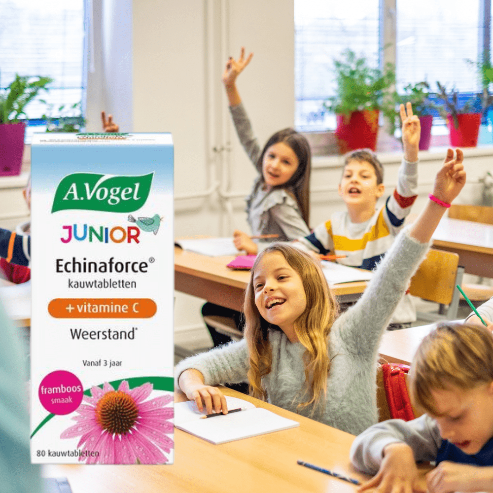 Echinaforce Junior Kennisbank