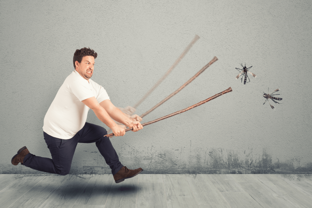 7 Nuttige Tips Om Vervelende Muggen Te Bestrijden